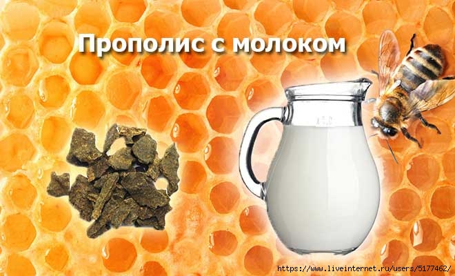 Прополис с молоком схема