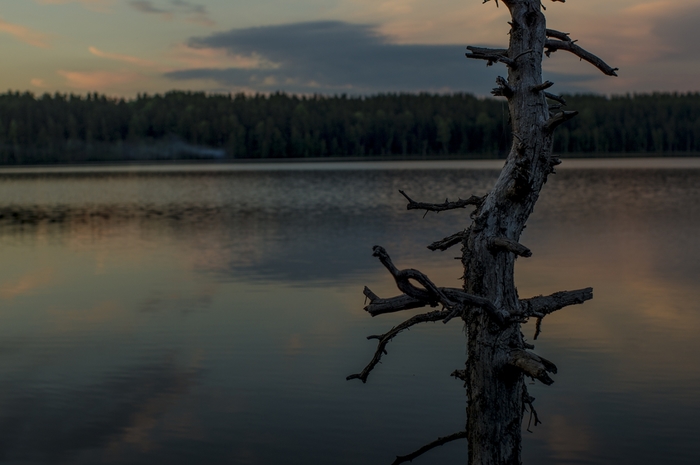 4213829__DSC1500 (700x465, 154Kb)