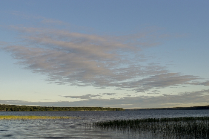 4213829__DSC1198 (700x465, 178Kb)