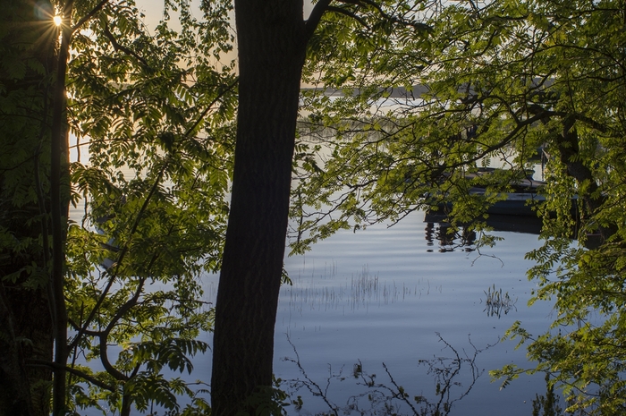 4213829__DSC1235 (700x465, 324Kb)