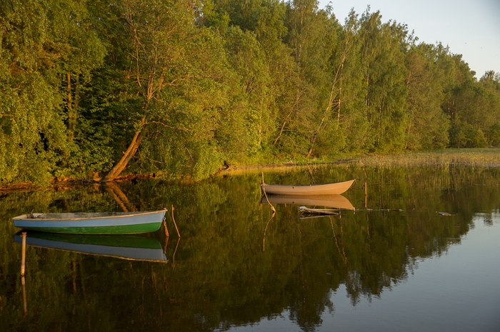 4213829__DSC1278 (700x465, 294Kb)