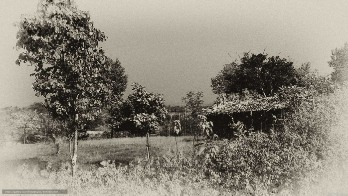 186325_(700x393, 250Kb)