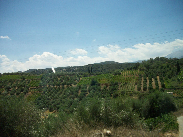 image (18) (700x525, 394Kb)