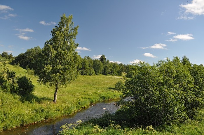 5685413_1331300787_222_jpgReka_Vryda (700x464, 116Kb)