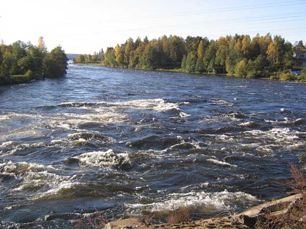 5685413_1394387928_252_jpgReka_Vyoksa (600x450, 49Kb)