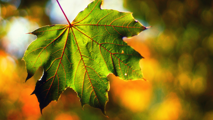 10 (700x393, 401Kb)