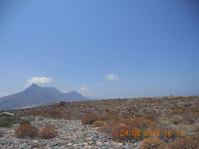 DSCN7804 (700x525, 461Kb)