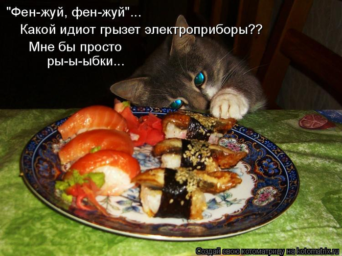 kotomatritsa_i (700x522, 375Kb)