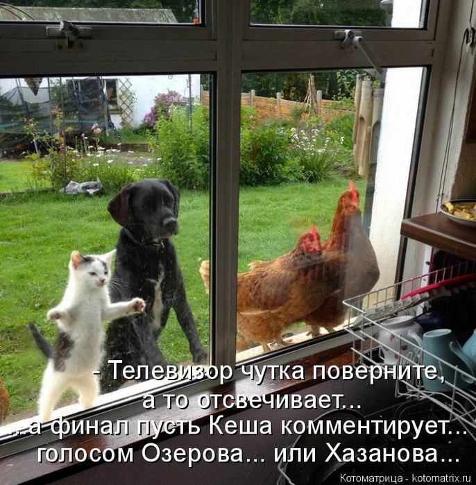 kotomatritsa_vG (686x700, 493Kb)