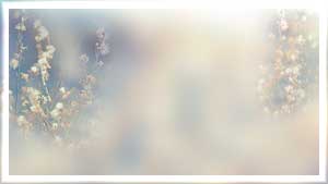 --1 (300x169, 7Kb)
