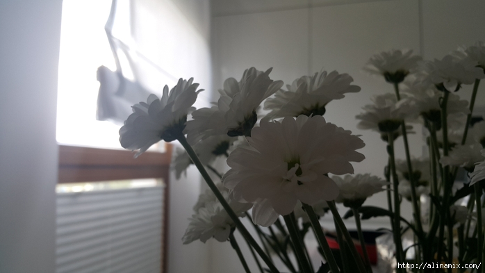 20180705_113924 (700x393, 140Kb)