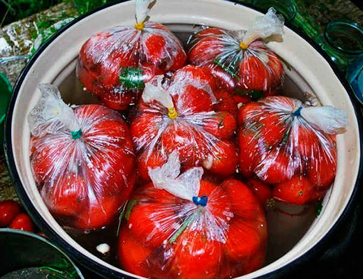 holodnye-solenye-pomidory-4 (520x400, 216Kb)