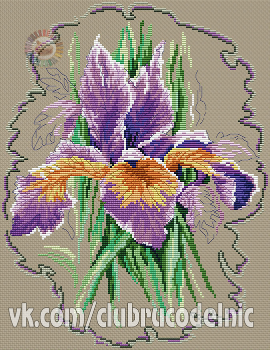 Irises (539x700, 604Kb)
