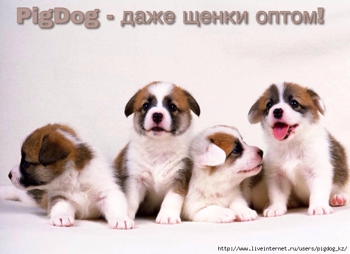 6309789_1531415078969 (700x508, 217Kb)