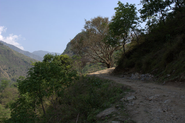 DSC_0055 (640x427, 182Kb)