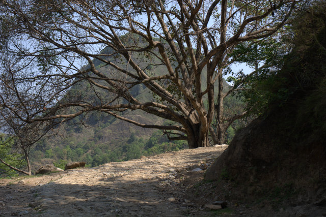 DSC_0060 (640x427, 253Kb)
