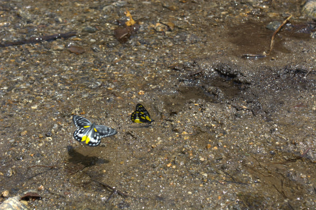 DSC_0107 (640x427, 263Kb)