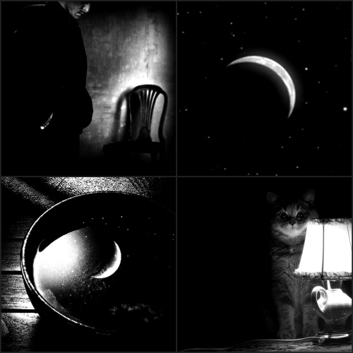  (500x500, 57Kb)