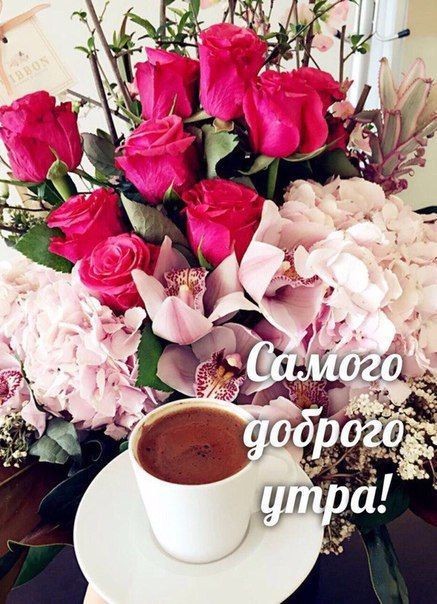 image (15) (437x604, 89Kb)
