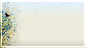 --3 (300x169, 7Kb)