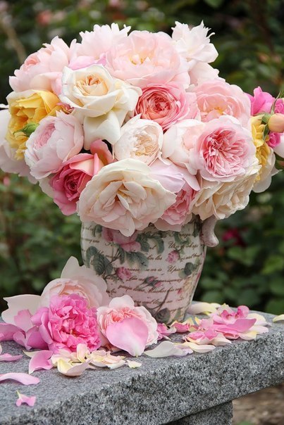 IMG-7192cd1120ac5f28c33a1af4cad08d88-V (403x604, 73Kb)