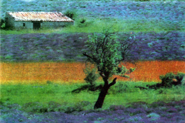 014 (600x400, 198Kb)