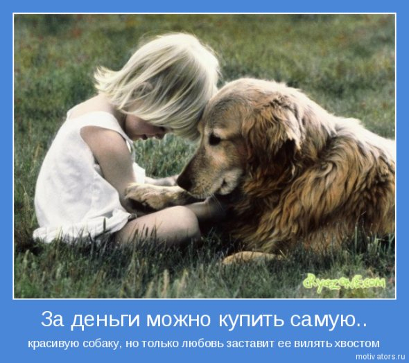 1363511495_www.radionetplus.ru-11 (590x524, 221Kb)