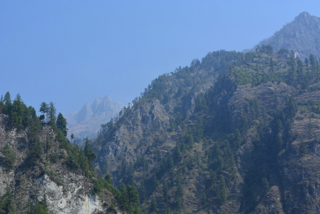 DSC_0391 (640x427, 266Kb)
