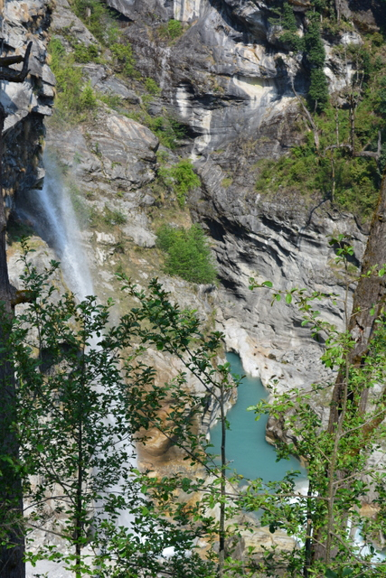 DSC_0407 (427x640, 438Kb)