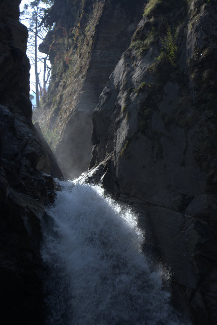 DSC_0419 (427x640, 143Kb)