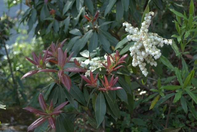 DSC_0428 (640x427, 202Kb)
