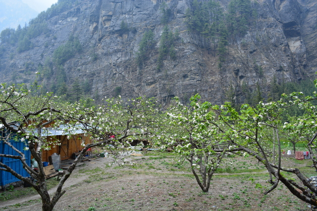 DSC_0454 (640x427, 420Kb)