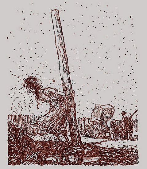 salt2 (479x548, 117Kb)
