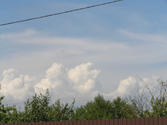 P7190100 (700x523, 370Kb)