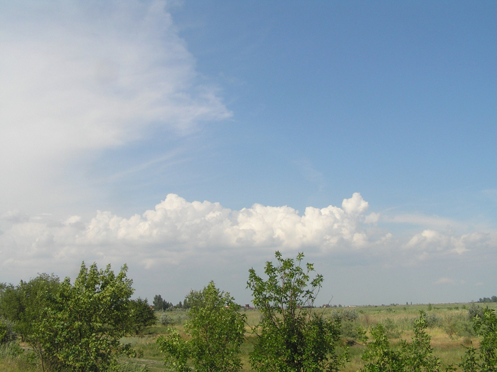 P7190102 (700x523, 401Kb)