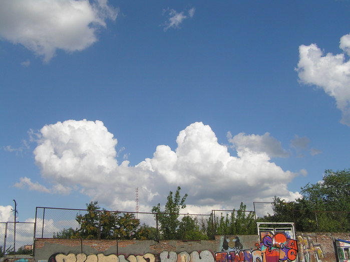 P7220003 (700x523, 428Kb)