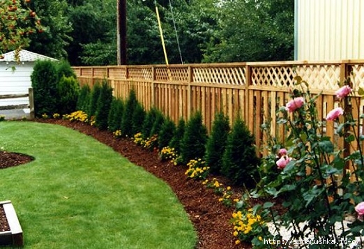 attractive-fenced-backyard-landscaping-ideas-1000-images-about-lattice-fence-on-pinterest-lattice-fence (522x357, 184Kb)