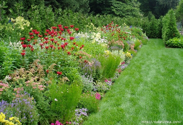 Perennial-Garden_Garden-Design-Inc_Allentown (634x434, 354Kb)