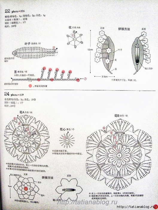 Asahi_Original_-_Crochet_Corsage_Pattern.page41 copy (528x700, 335Kb)