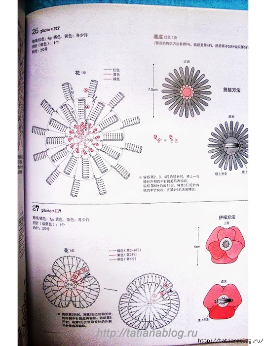 Asahi_Original_-_Crochet_Corsage_Pattern.page76 copy (539x700, 293Kb)