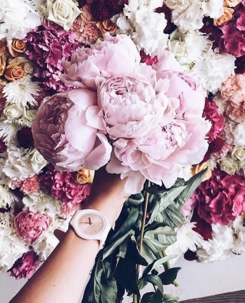 tumblr_osrvl3I3xi1qmesloo1_500 (500x618, 231Kb)
