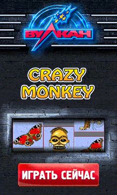 6172207_965_2_ (236x393, 29Kb)
