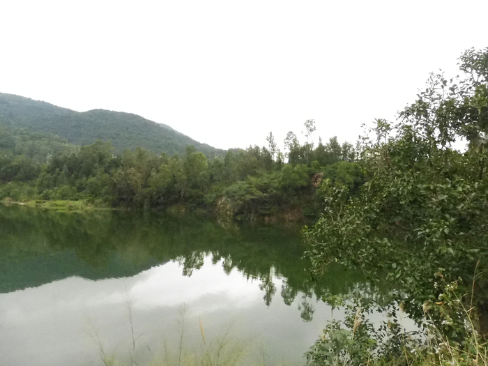 P1050137 (700x525, 313Kb)
