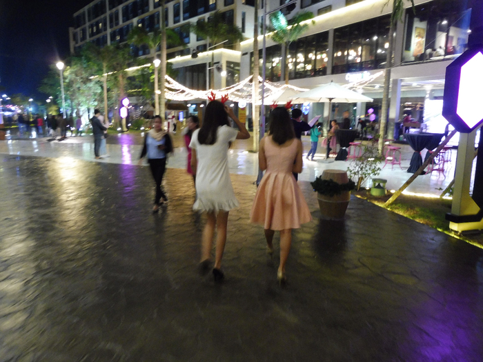 P1050145 (700x525, 434Kb)