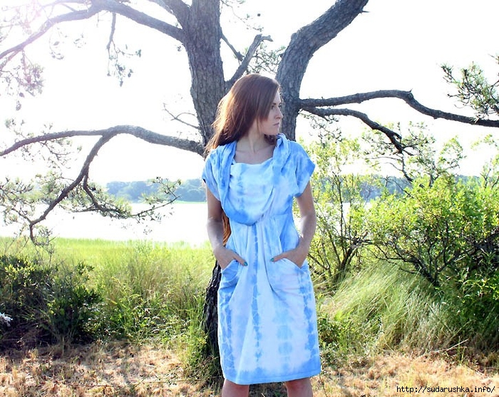 blog1 (700x557, 391Kb)