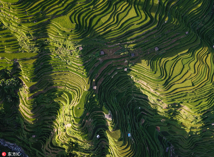 4 (700x514, 597Kb)