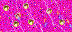 0_13b63d_e98a043a_L (72x32, 7Kb)