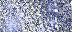 0_13b627_4c05a585_L (72x32, 9Kb)