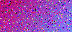 0_13b665_7b698968_L (72x32, 6Kb)
