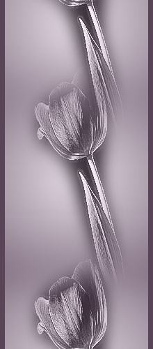 разные (30) (220x500, 35Kb)